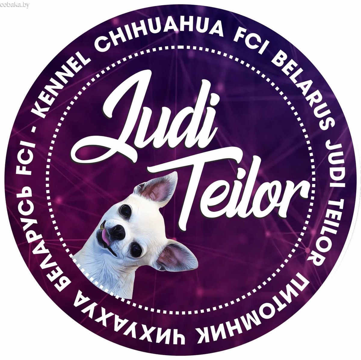 JudiTeilor kennel chihuahua USA FCI – American chihuahua kennel club – Chihuahua Breeder in America – Chihuahua puppy for sale